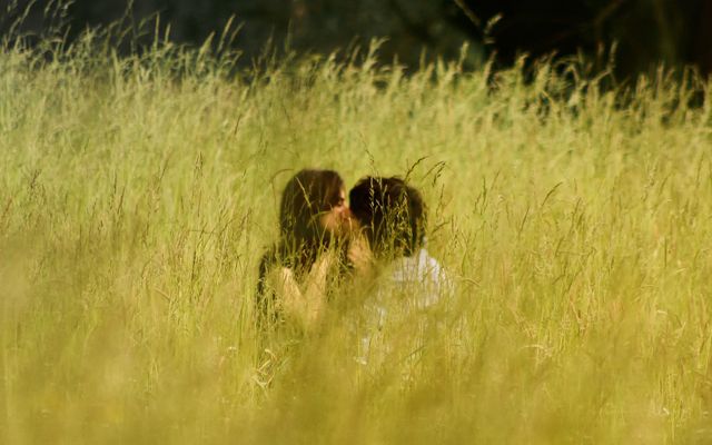 Lente in je bol, pollen op hol